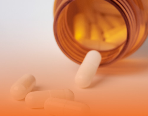 inicio sectores alimentacion